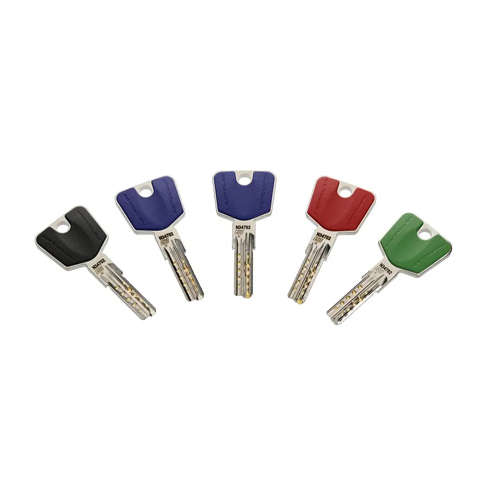 Clé Y8C-Sésame AIVCIL GA Appui A2P1 - Variantes de couleur